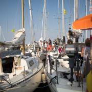 _MG_0464