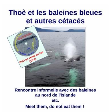 Thoebaleines